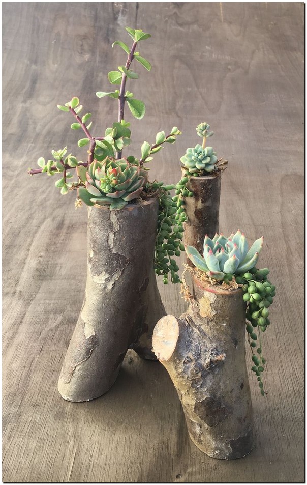 20 Creative DIY Succulent Planters Not To Be Missed 19