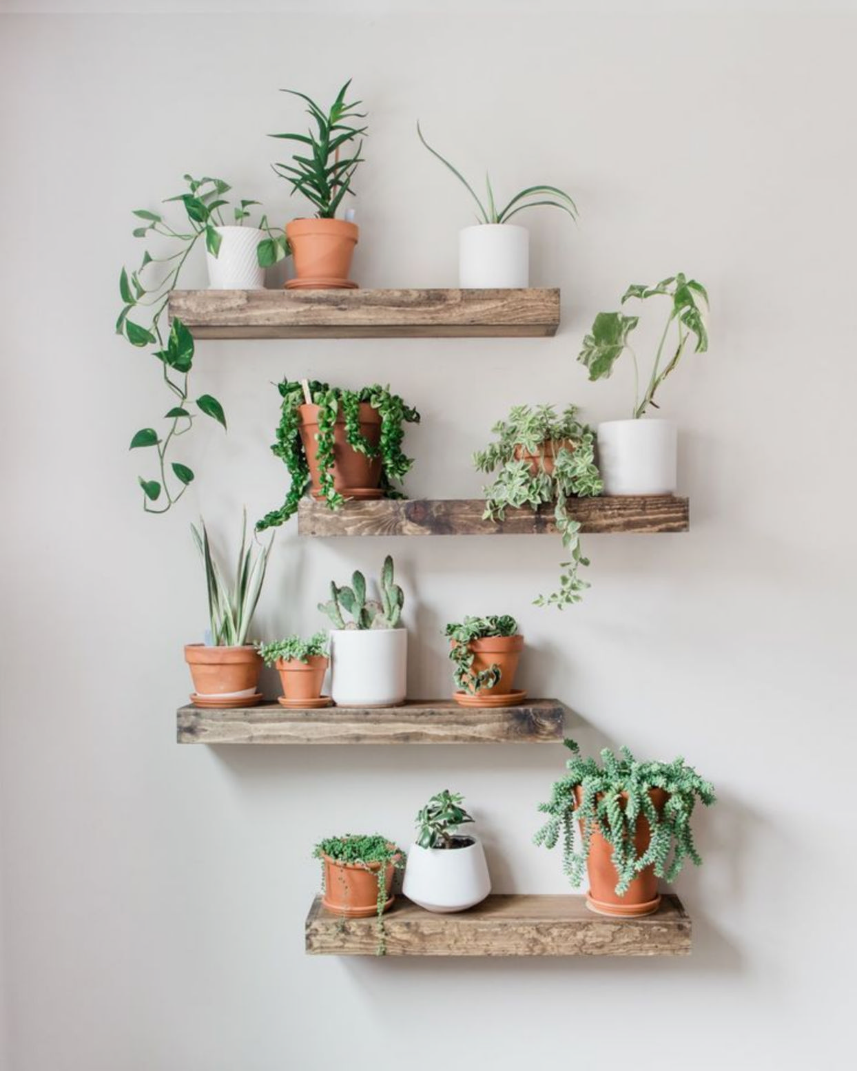 Beautiful plant wall decor ideas to upgrade your room from wall decor shopping online 1