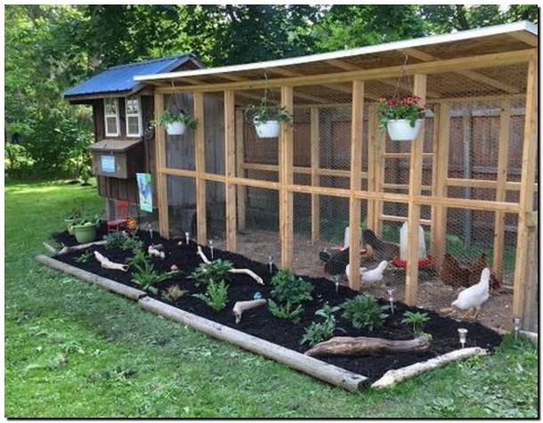 35 chicken coop design ideas to keep chickens out of the garden 16