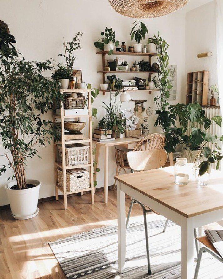 43 Stand Plant Decor Ideas to Fill Your Living Room with Green 42