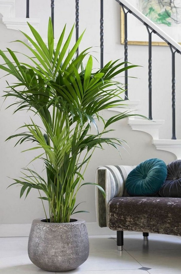 50 beautiful decoration ideas for indoor plants for your home and apartment 16