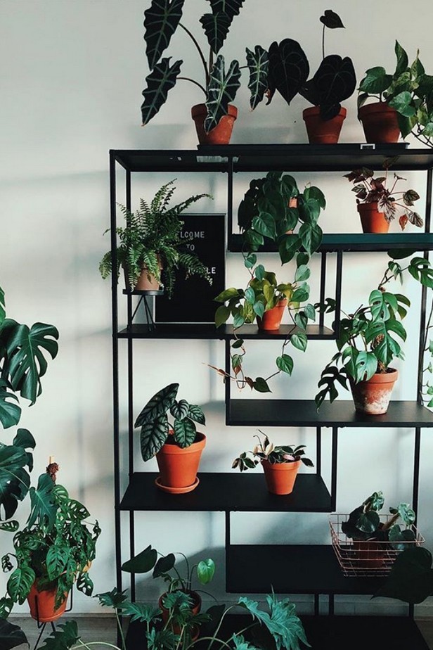 70 decoration ideas for art and plant shelves 14