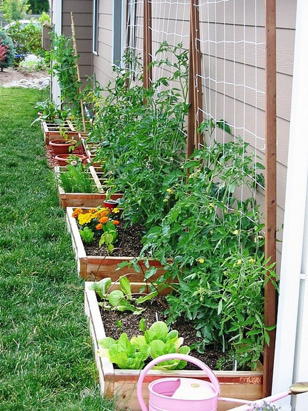 70 Favorite Vegetable Garden Backyard Design Ideas To Take Care Of Your Diet 1