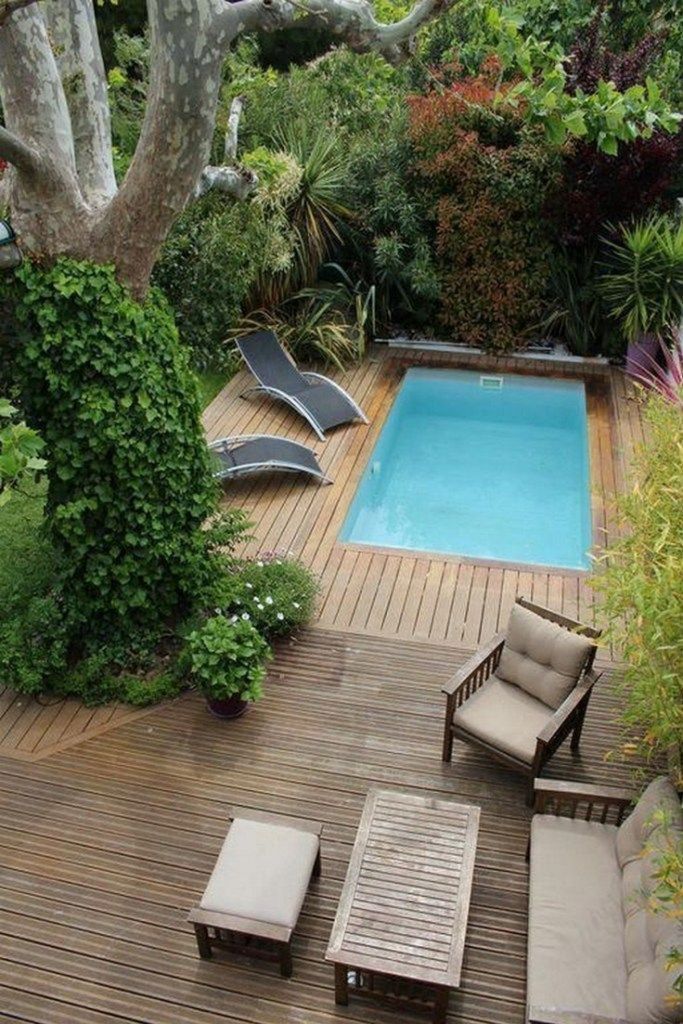 Choose from various modern pool designs for a beautiful garden 11