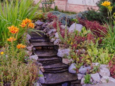 Hillside Rain Gardens – Can You Create A Rain Garden On A Slo