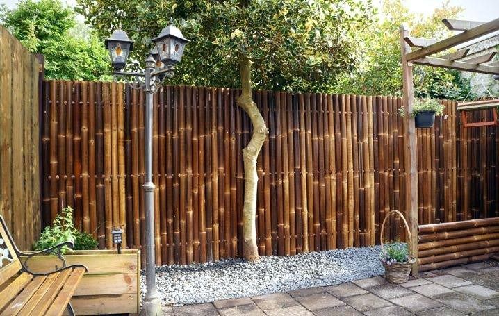 Amazing #Bamboo Garden Ideas Backyards New Bamboo Backyard Bamboo .