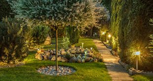 Backyard Landscaping Design Ideas - All Starr Tree & Landsca