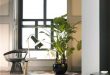 Modern Interior Decorating Ideas Incorporating Indoor Plants into .
