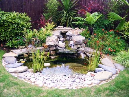 Beautiful Small Pond and Water Garden