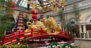Chinese New Year events, specials in Las Vegas | KL