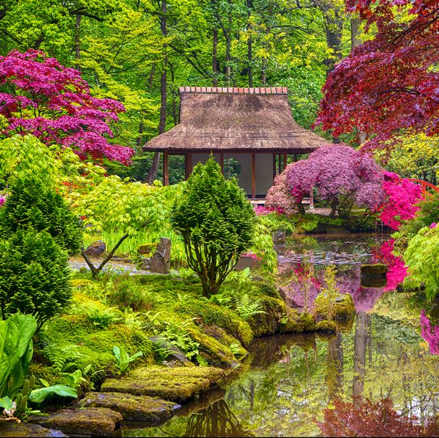 Japanese garden ideas: how to plant a Japanese gard