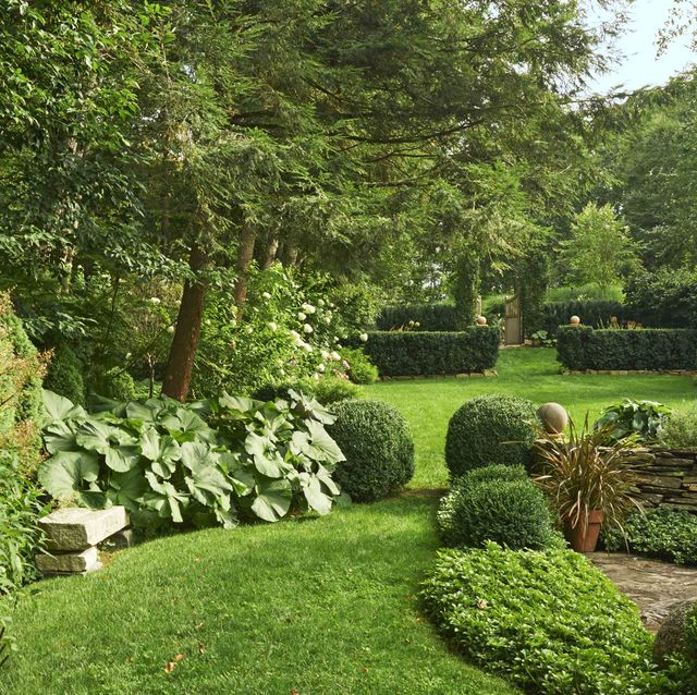 Best Landscaping Design Ideas for
Backyards and Front Yards