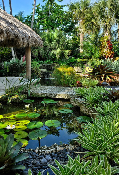 25+ Best Tropical Garden Design Ideas - Home and Garde