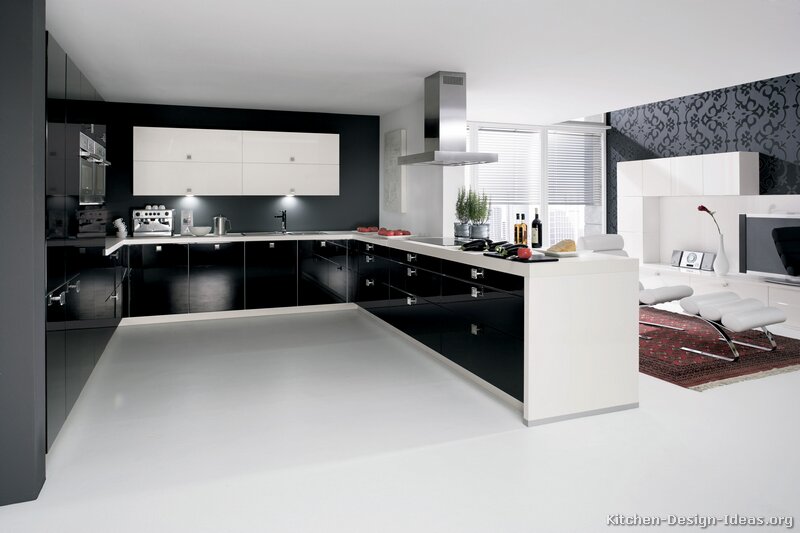 Contemporary Kitchen Cabinets - Pictures and Design Ide