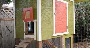 13 Free Chicken Coop Plans You Can DIY This Weeke