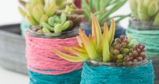 DIY Fun With Succulent Pots - 13 Adorable Ide
