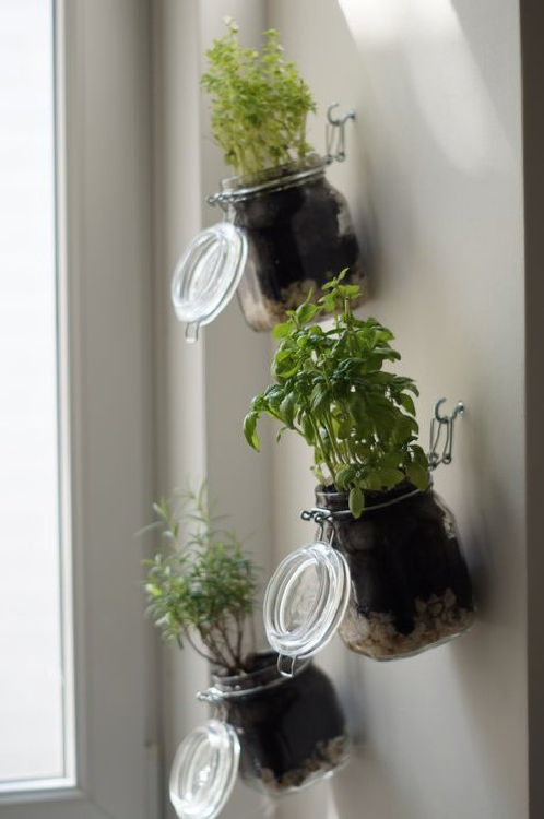 55 creative kitchen herb garden ideas for indoors and outdoors 53 .