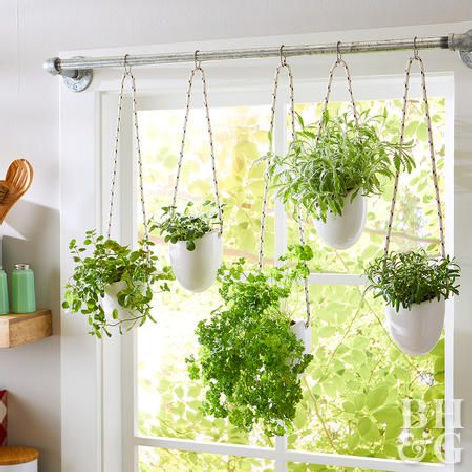 55 creative kitchen herb garden ideas for indoors and outdoors 17 .