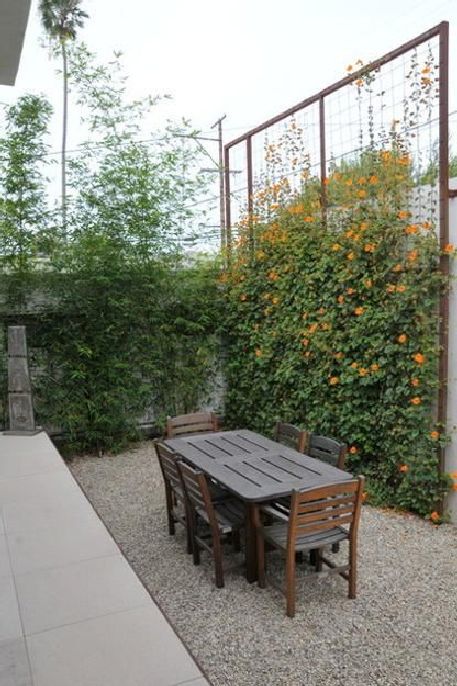 Creative trellis fence ideas for gardens and backyards 7 .