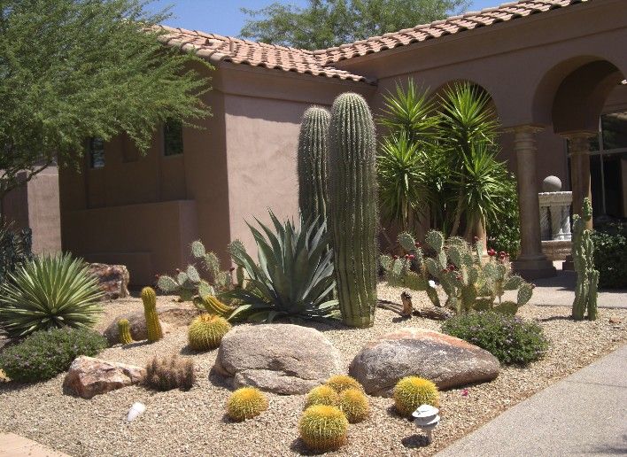 Variety | Xeriscape landscaping, Arizona backyard landscaping .