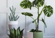 3 Best Inspiring Low Budget Decoration Ideas | Plant pot design .