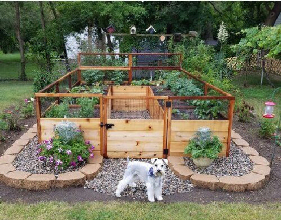 45 awesome diy raised and enclosed garden bed ideas for your .