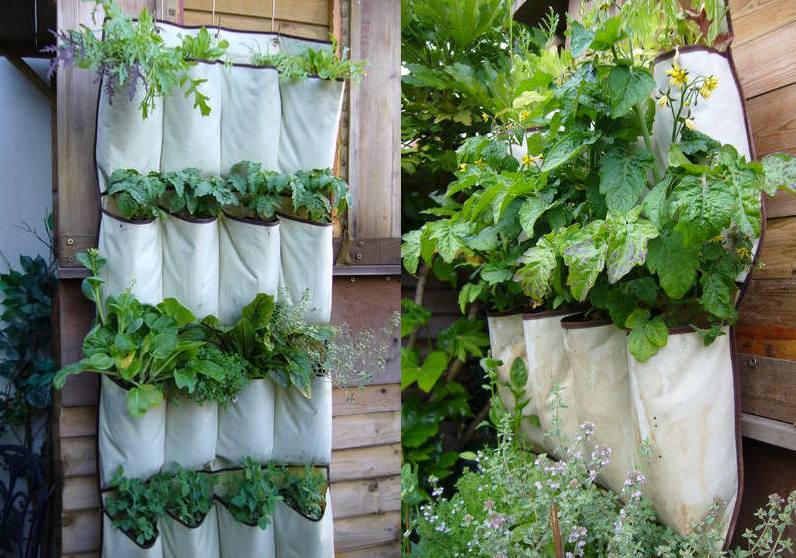 4 Amazing Vertical Garden Designs For Growing Veggies In Any Space .