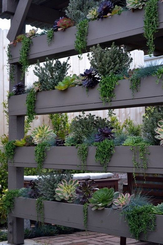 Extraordinary DIY Vertical Garden Design
Ideas