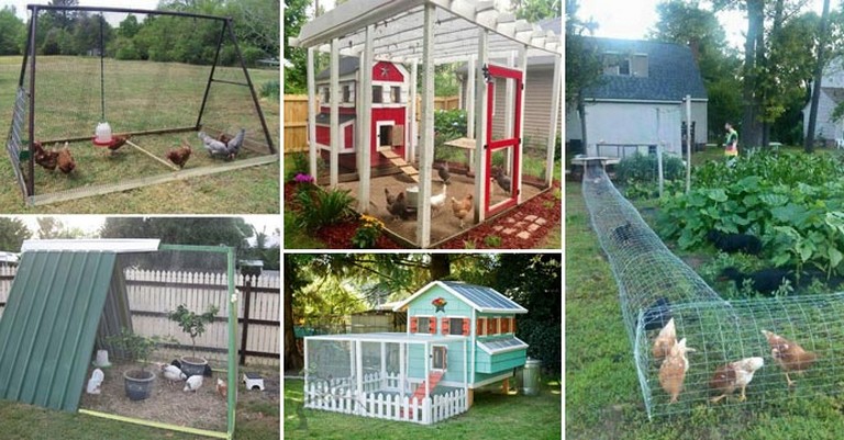 24 Amazing Low-Budget DIY Backyard Chicken Coop Plans Design Ide