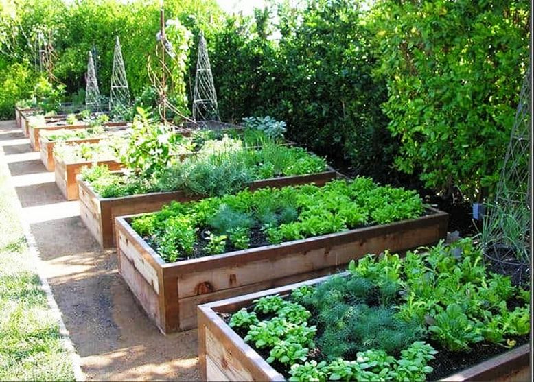 Extraordinary raised garden bed design ideas 26 | homezide