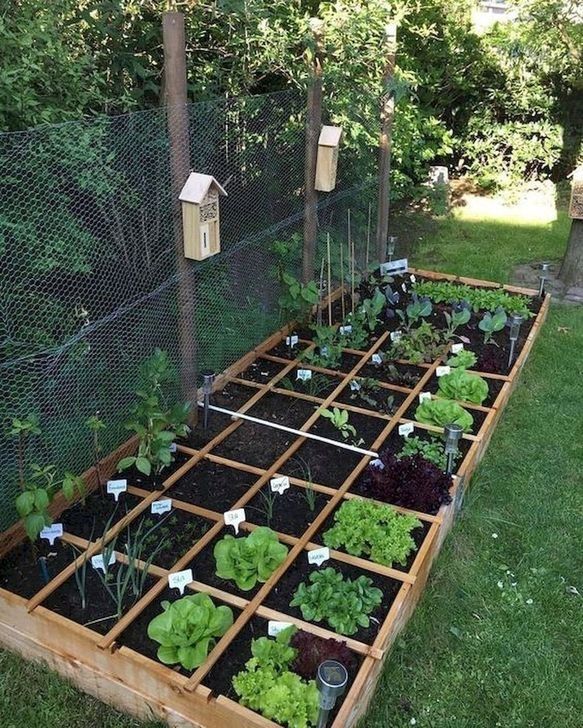 99 Unusual Vegetable Garden Ideas For Home Backyard | Vegetable .