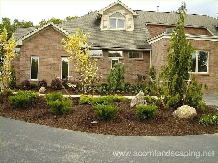 Fantastic Front Yard Landscaping Ideas No Grass | Front yard .