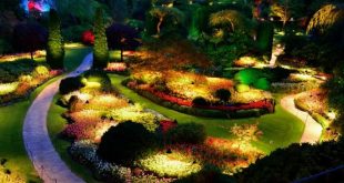 5 Incredible Benefits of Landscape Lighting & Garden Ligh