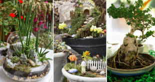 45 Amazing Indoor Garden Ideas: #27 is So Eas