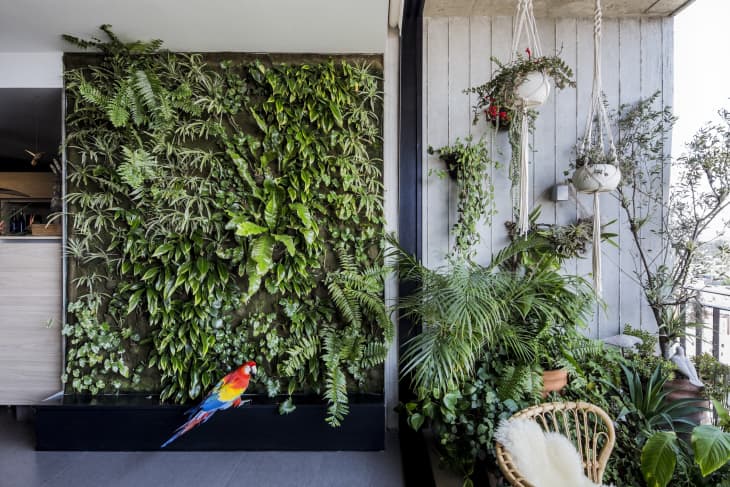 15 Indoor Garden Ideas - How to Make a Garden Inside Your Home .