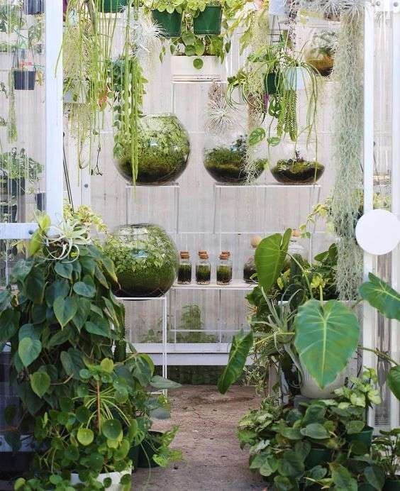 50 Astonishing Indoor Garden Ideas [with Pictures] - YHM