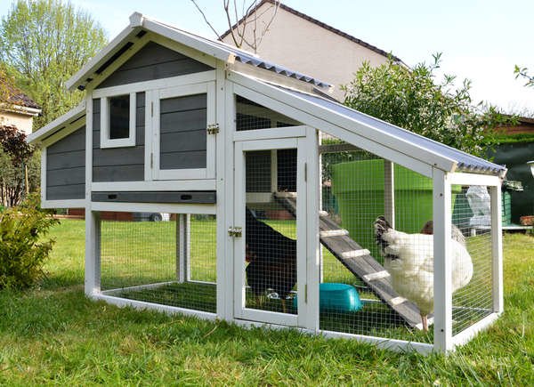 Inspired DIY Chicken Coop Design Ideas
