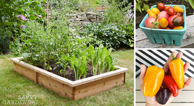 4x8 Raised Bed Vegetable Garden Layout Ideas: What to Sow & Gr