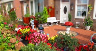 15 Landscaping Ideas for Your Front Yard - Lawnstart