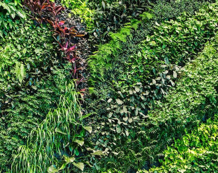 Habitat Horticulture completes largest indoor living wall in .