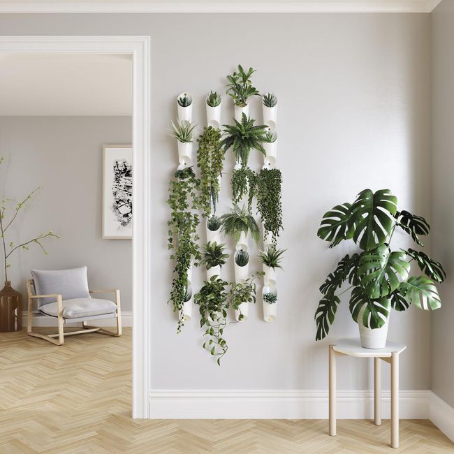 Let your plants climb the walls: How a living wall can help during .