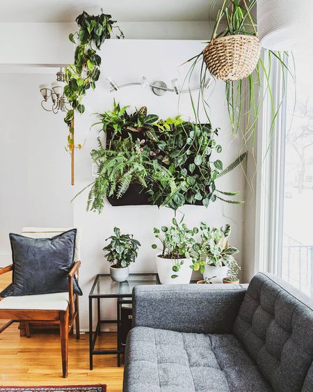 Stunning Living Wall Ideas for Any Ro