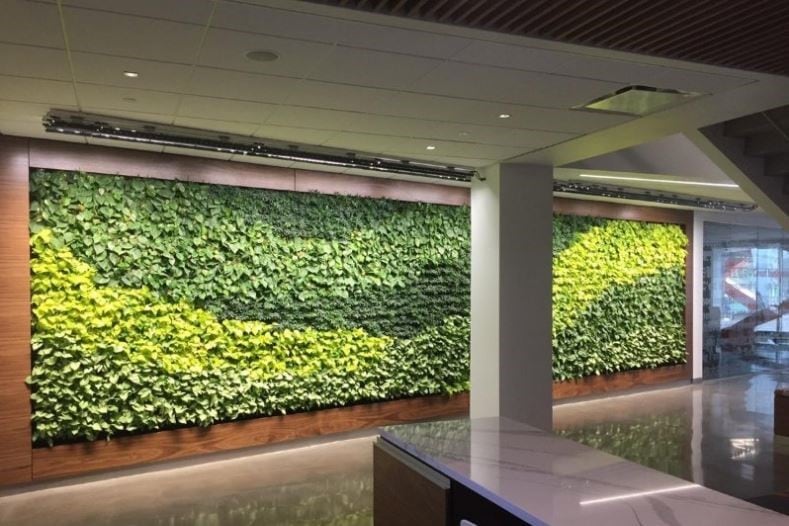 Green Living Walls | Natura | Enhancing the Built Environment .