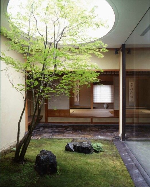 Japanese Internal garden | Landscape design, Interior garden .