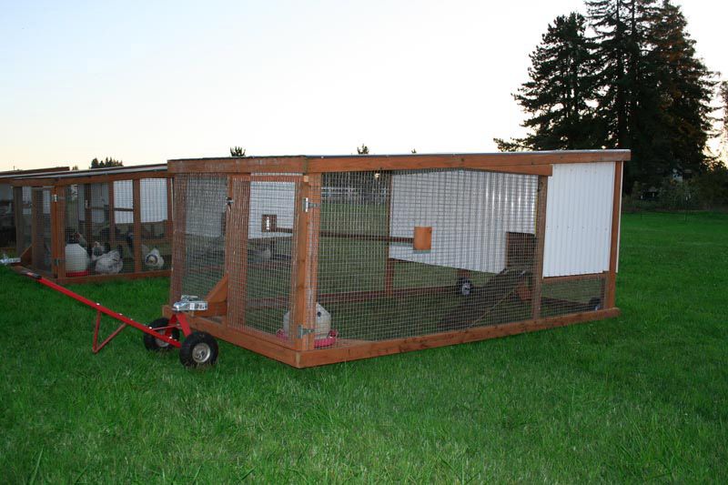More ideas below: Easy Moveable Small Cheap Pallet chicken coop .