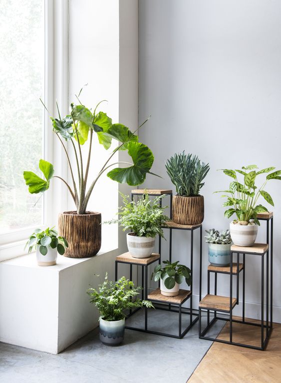 Fresh Ideas to Bring the Outdoors Inside - TrendBook Trend .