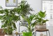 60+ Plant Stand Design Ideas for Indoor Houseplants - Page 62 of .