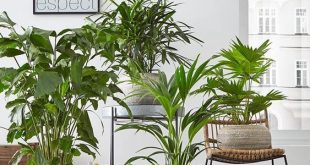 60+ Plant Stand Design Ideas for Indoor Houseplants - Page 62 of .