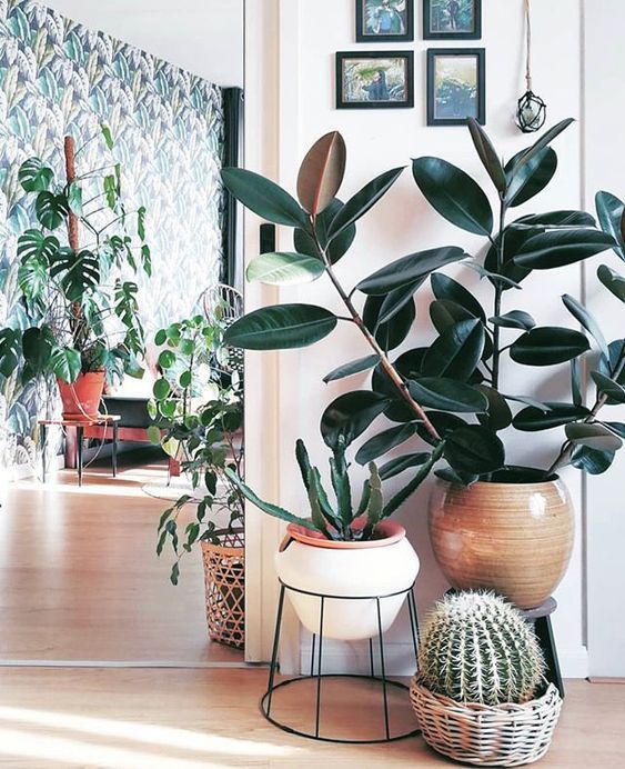 60+ Plant Stand Design Ideas for Indoor Houseplants - Page 30 of .