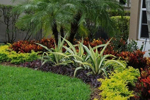 Tips for Landscaping and Gardening in South Florida | CubeSma